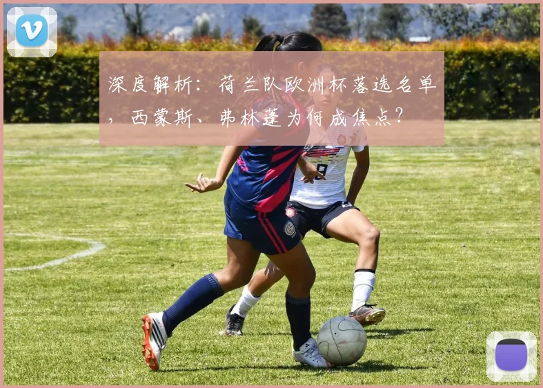 深度解析：荷兰队欧洲杯落选名单，西蒙斯、弗林蓬为何成焦点？