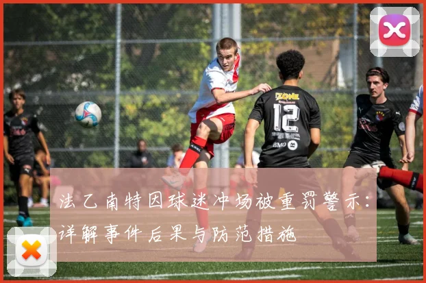法乙南特因球迷冲场被重罚警示:详解事件后果与防范措施