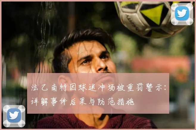法乙南特因球迷冲场被重罚警示：详解事件后果与防范措施